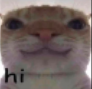 Meet your Posher, Ally